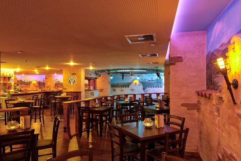 Hotel Hasseröder Burghotel - Bar