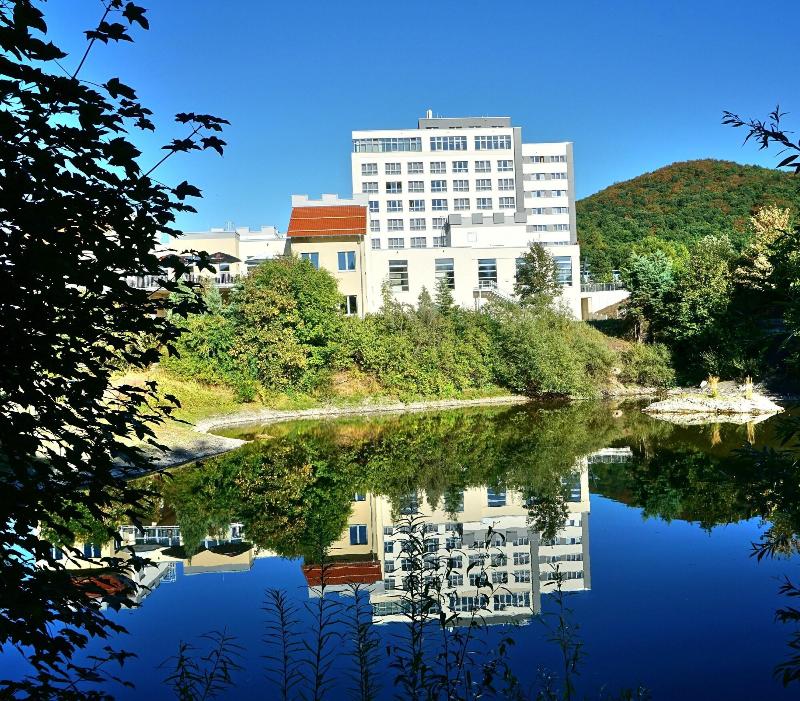 Hotel Hasseröder Burghotel - Genel