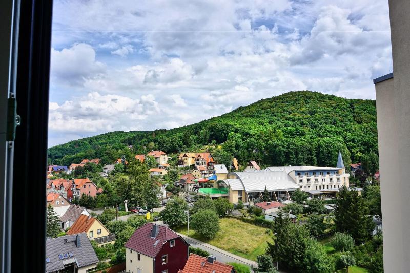 Hotel Hasseröder Burghotel - Oda