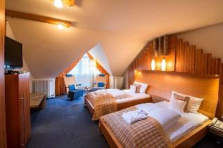 Göbel's Schlosshotel Prinz von Hessen fotoÄŸrafÄ±