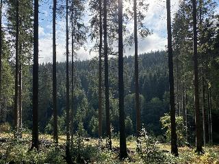 Asten Village fotoÄŸrafÄ±