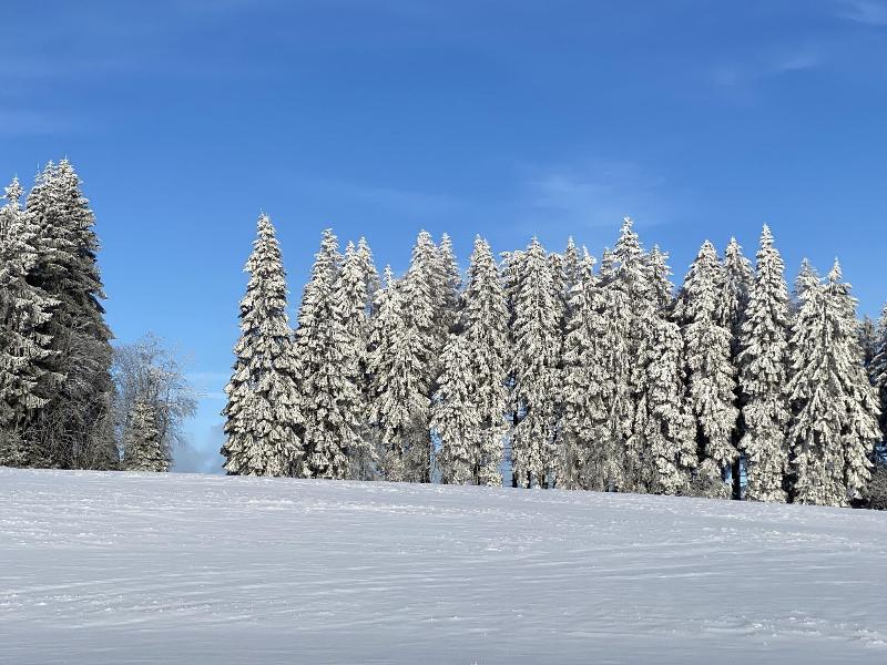 Asten Village - Genel