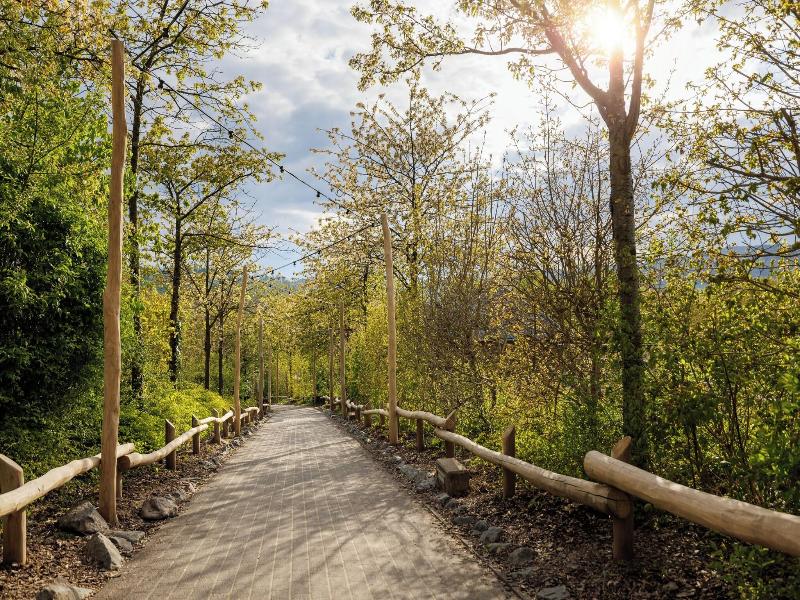 Center Parcs Park & Hotel Hochsauerland - Genel
