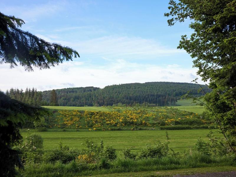 Center Parcs Park & Hotel Hochsauerland - Genel