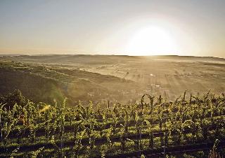 LOISIUM Wine & Spa Resort Langenlois fotoÄŸrafÄ±