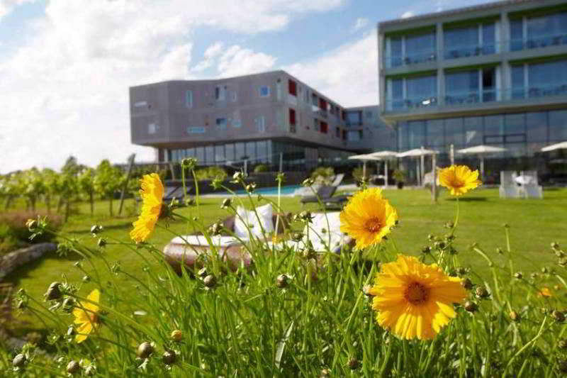 LOISIUM Wine & Spa Resort Langenlois otel fotoğrafı