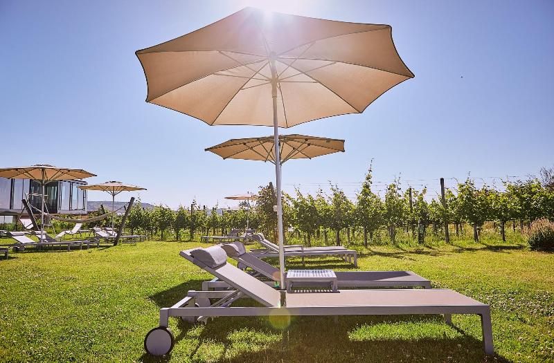 LOISIUM Wine & Spa Resort Langenlois - Teras