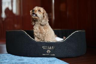 Bulgari London fotoÄŸrafÄ±
