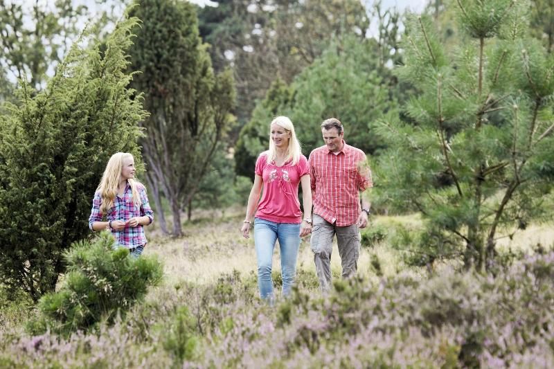 Center Parcs Bispinger Heide - Genel