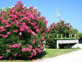 La Pigna