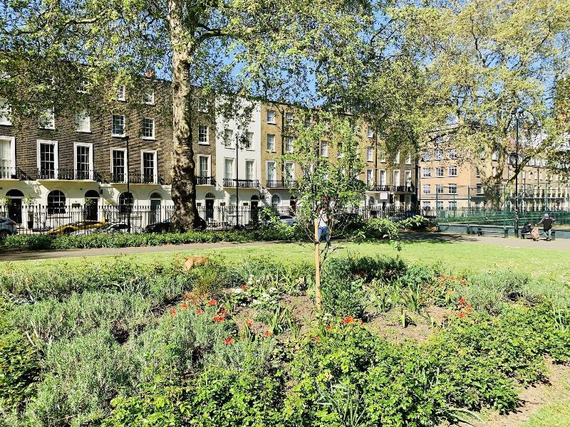 The Rokxy Townhouse - Genel