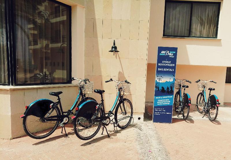 Venus Beach Hotel - Aktivite