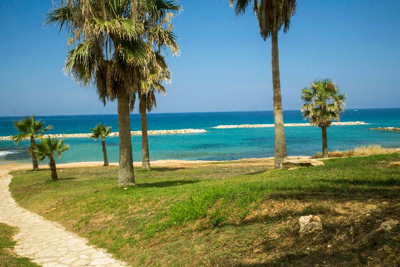 Venus Beach Hotel - Plaj