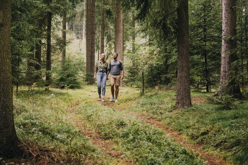 Falkensteiner Htl & Spa Bad Leonfelden-Adults - Aktivite