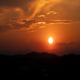 Oasis fotoÄŸrafÄ±