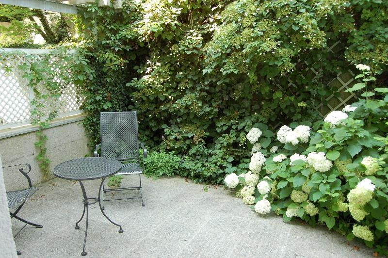 Stadthotel Styria - Teras