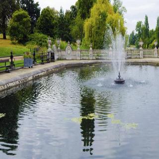 Ascot Hyde Park fotoÄŸrafÄ±