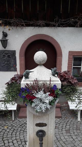 Adler fotoÄŸrafÄ±