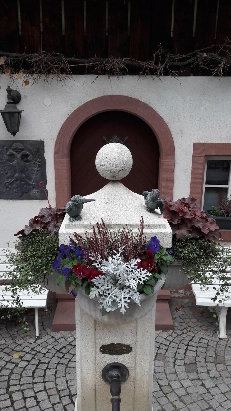 Adler - Oda