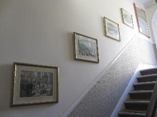 Belvedere fotoÄŸrafÄ±
