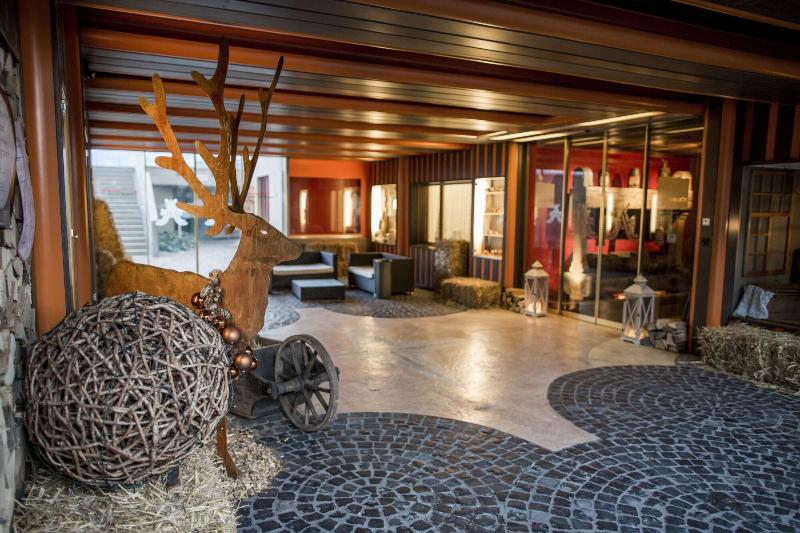 Hotel Alpenblick Weggis - Lobi