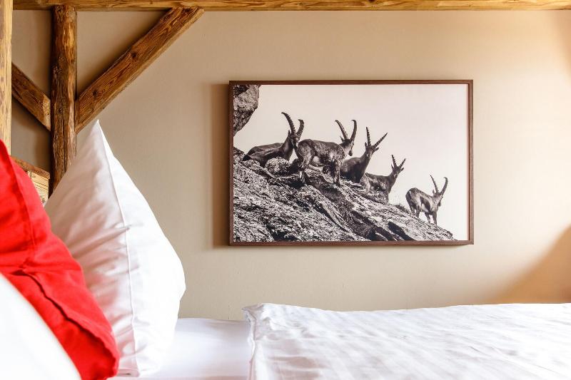 Hotel Alpenblick Weggis - Oda