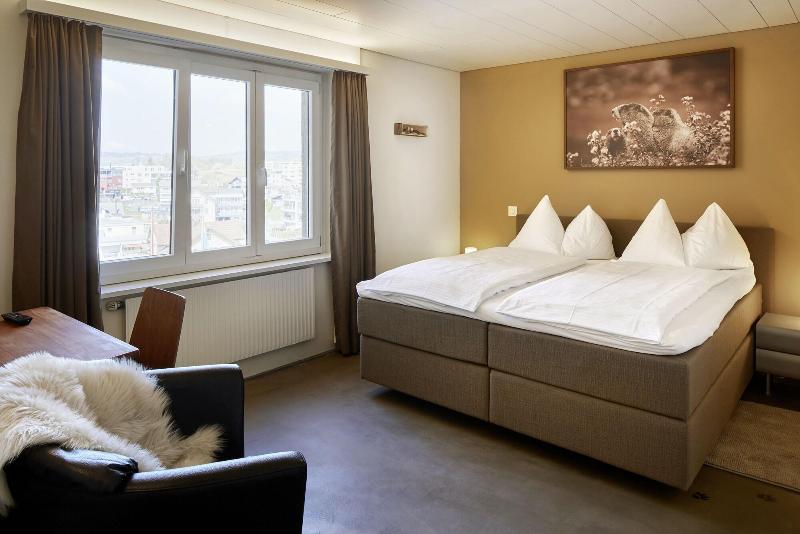 Hotel Alpenblick Weggis - Oda
