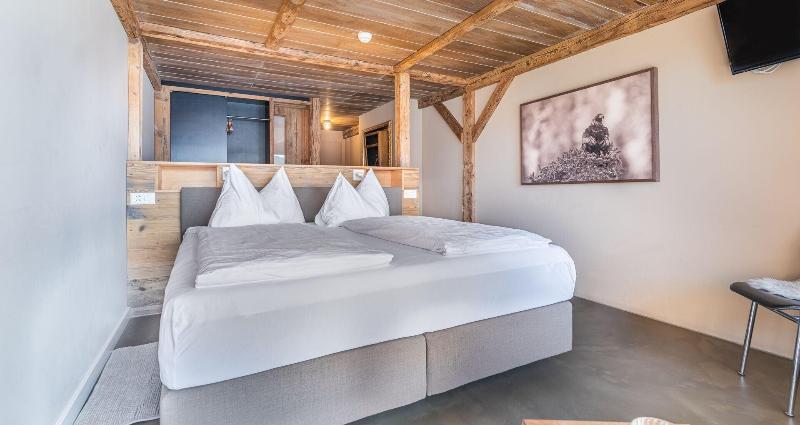 Hotel Alpenblick Weggis - Oda