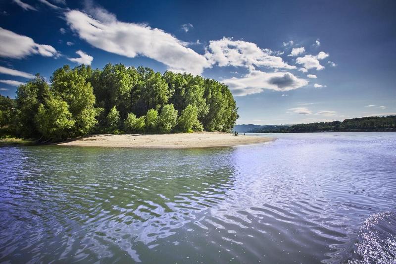 Donauhof - Genel