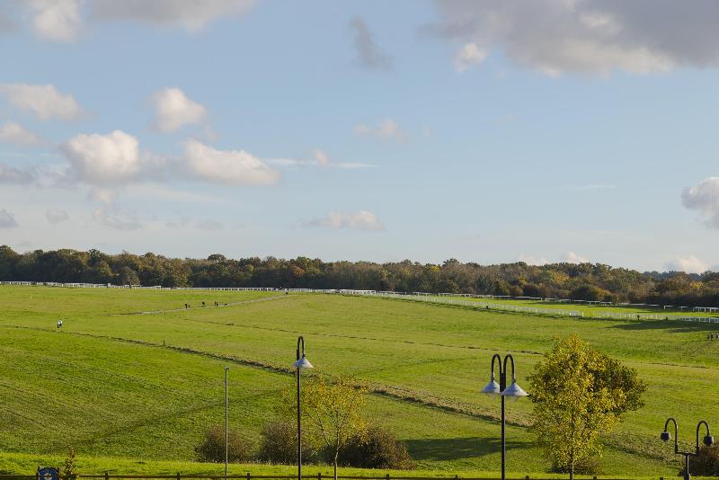 Holiday Inn Express London-Epsom Downs - Genel