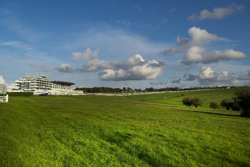 Holiday Inn Express London-Epsom Downs - Genel