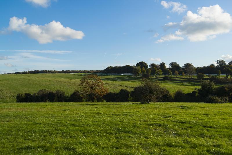 Holiday Inn Express London-Epsom Downs - Genel