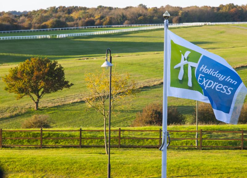 Holiday Inn Express London-Epsom Downs - Genel
