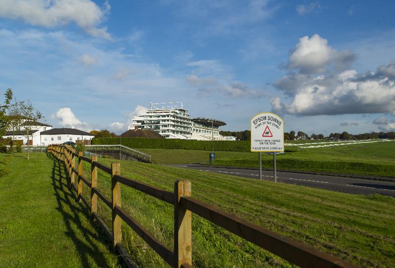 Holiday Inn Express London-Epsom Downs - Genel