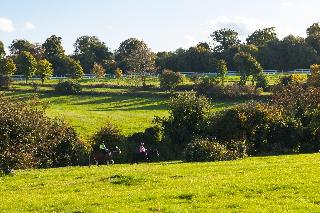 Holiday Inn Express London-Epsom Downs fotoÄŸrafÄ±