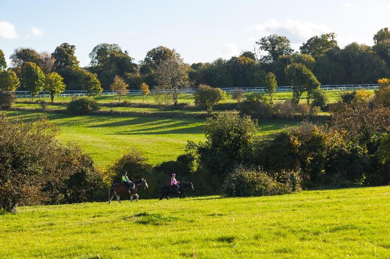 Holiday Inn Express London-Epsom Downs - Genel