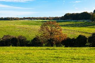 Holiday Inn Express London-Epsom Downs fotoÄŸrafÄ±