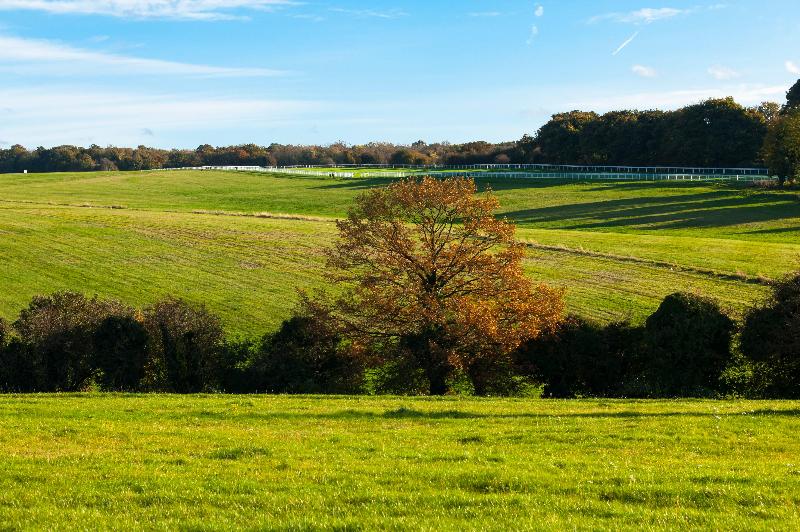 Holiday Inn Express London-Epsom Downs - Genel