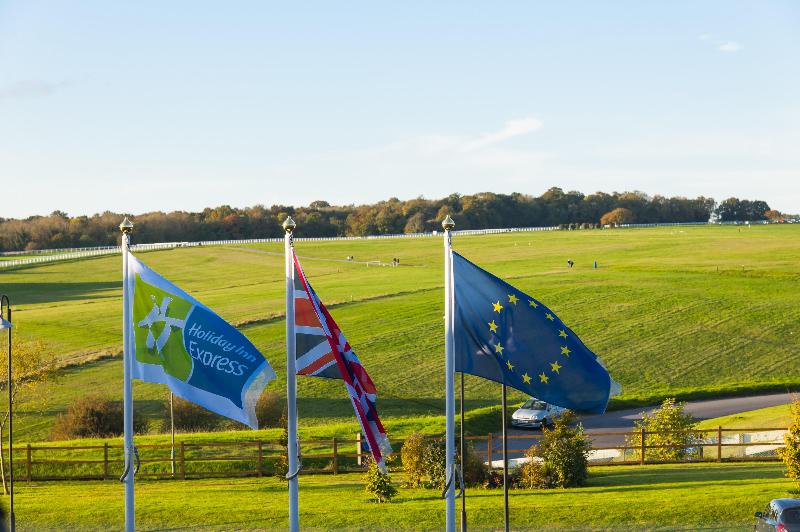 Holiday Inn Express London-Epsom Downs - Genel