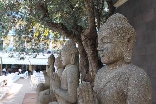 La Palmera & Spa fotoÄŸrafÄ±