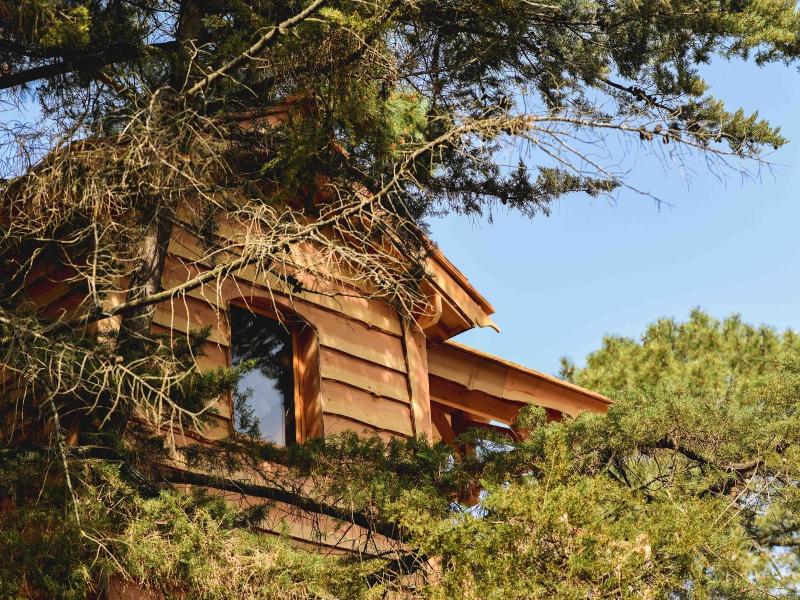 Logis Hôtel Emeraude des Bois - Oda