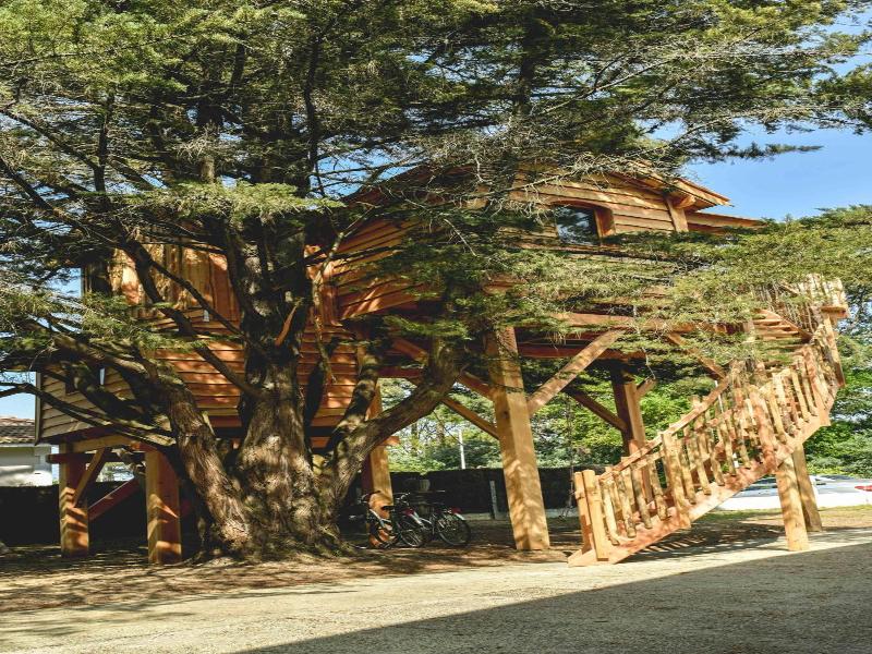 Logis Hôtel Emeraude des Bois - Oda