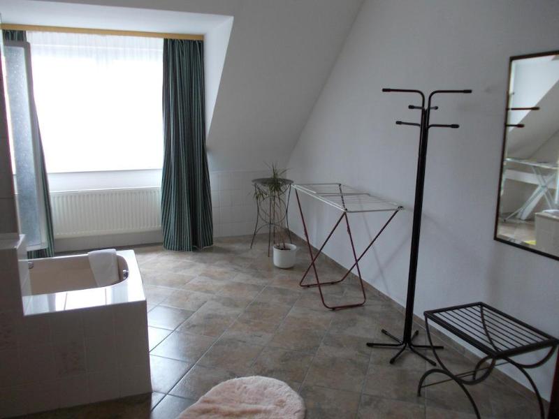 Hotel Plagwitzer Hof - Genel