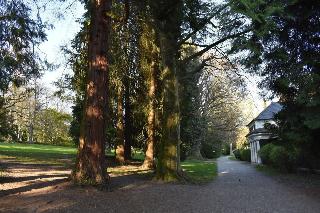 Lindenallee fotoÄŸrafÄ±