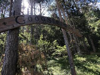 Tauernstern fotoÄŸrafÄ±