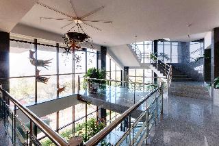 Melia Castelo Branco fotoÄŸrafÄ±