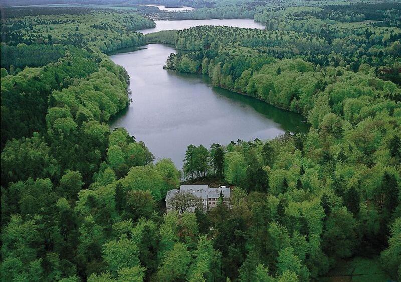 Waldhalle - Genel