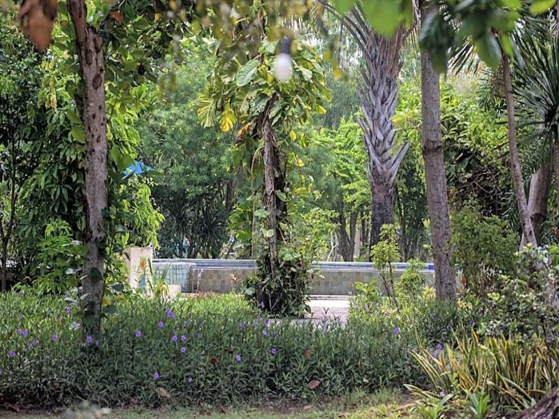 Puri Sari Beach Hotel - Genel