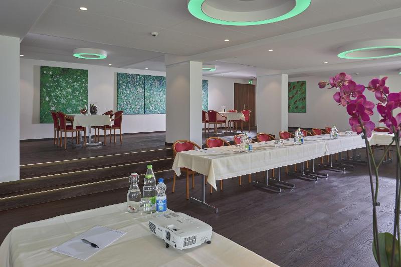 Hotel Alexander & Gerbi - Toplantı