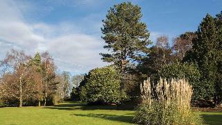 Brandshatch Place fotoÄŸrafÄ±